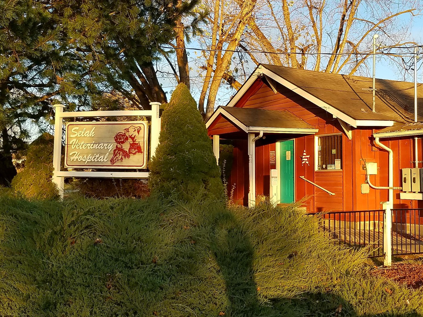 The red barn-style building of Selah Veterinary Hospital with its hand-painted sign, glowing in warm evening light
